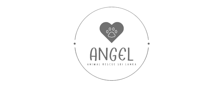Angel-Animal-Rescue-Logo.webp