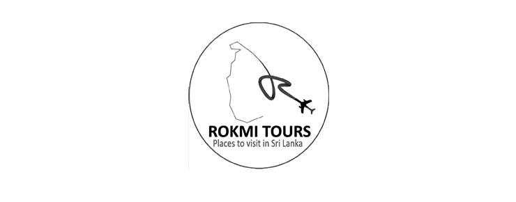 RokmiTours.webp