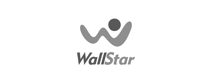Wallstar-Logo.webp